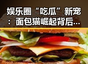 娱乐圈“吃瓜”新宠：面包猫崛起背后的故事和影响力